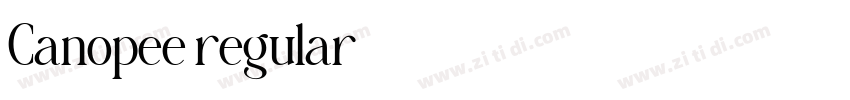 Canopee regular字体转换